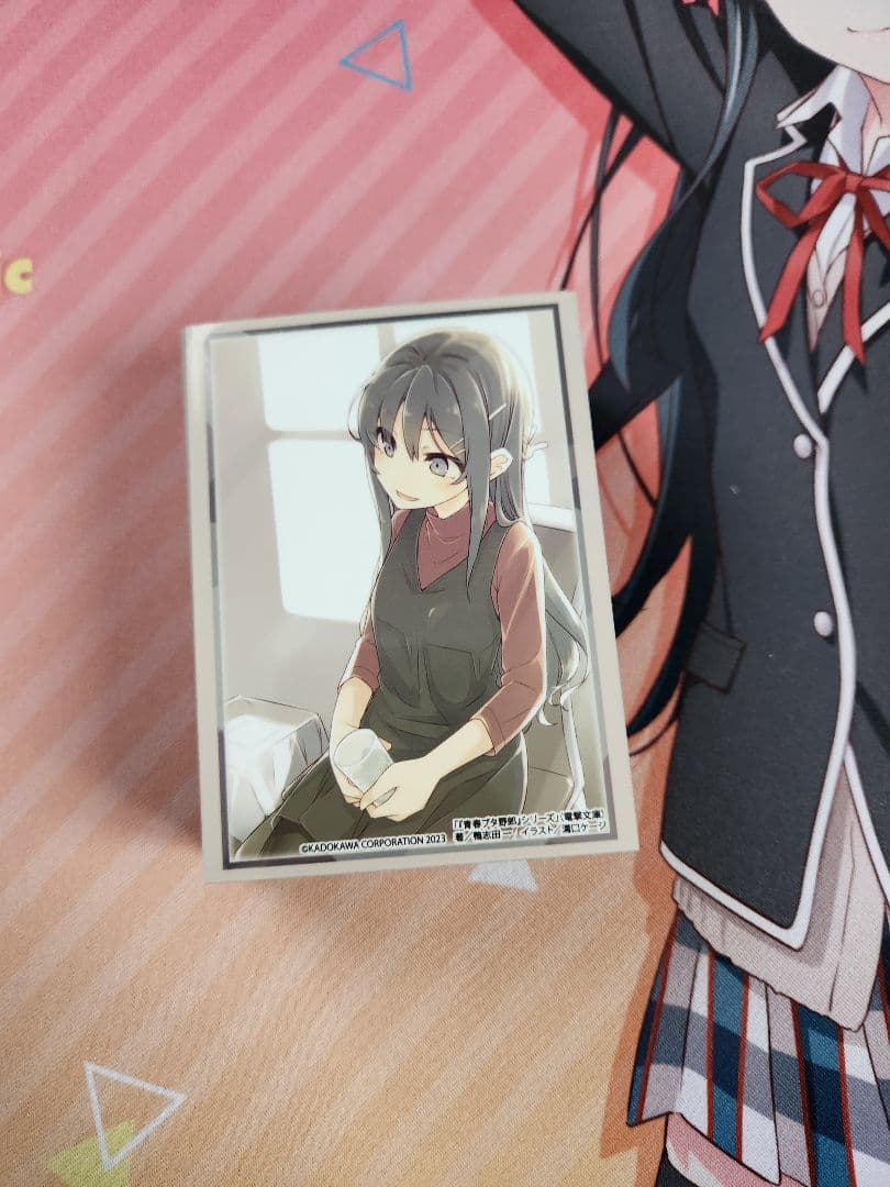 ポフラム　ヴァイス引退品