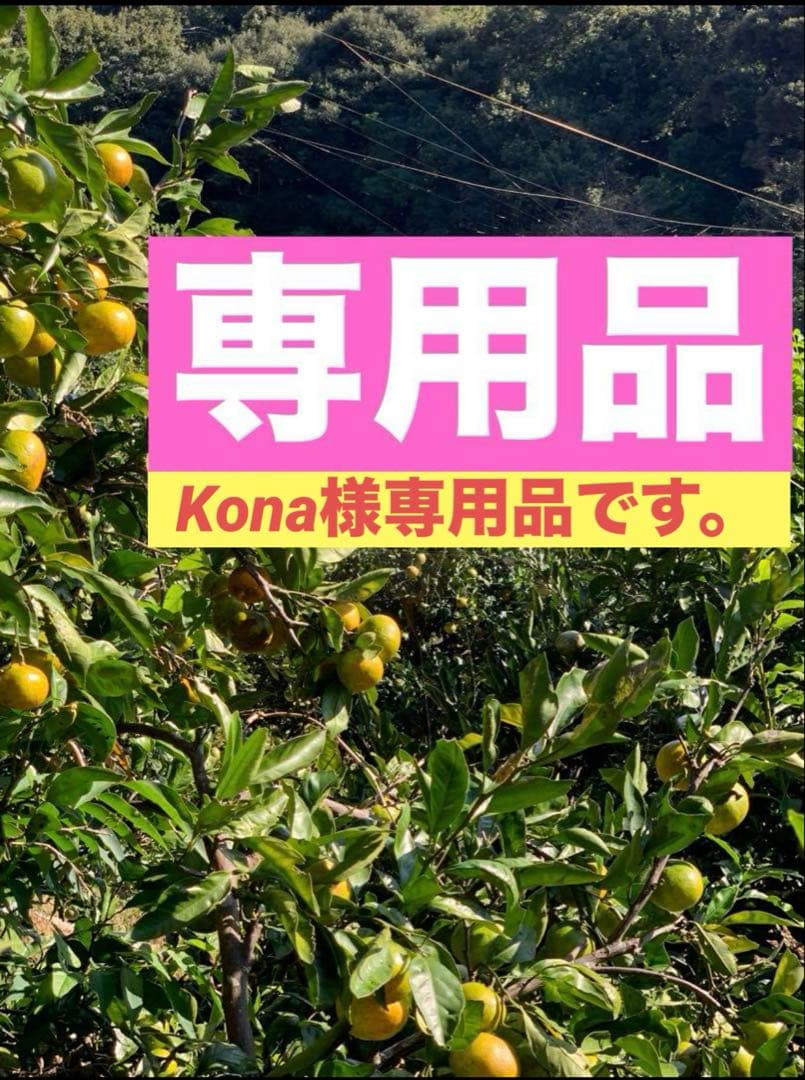 M39.40.専用品　農薬不使用　浜名湖ミカン　極早生10kg 早生10kg