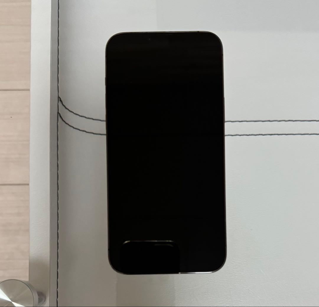 Apple iPhone 13 Pro Max 256GB グラファイト