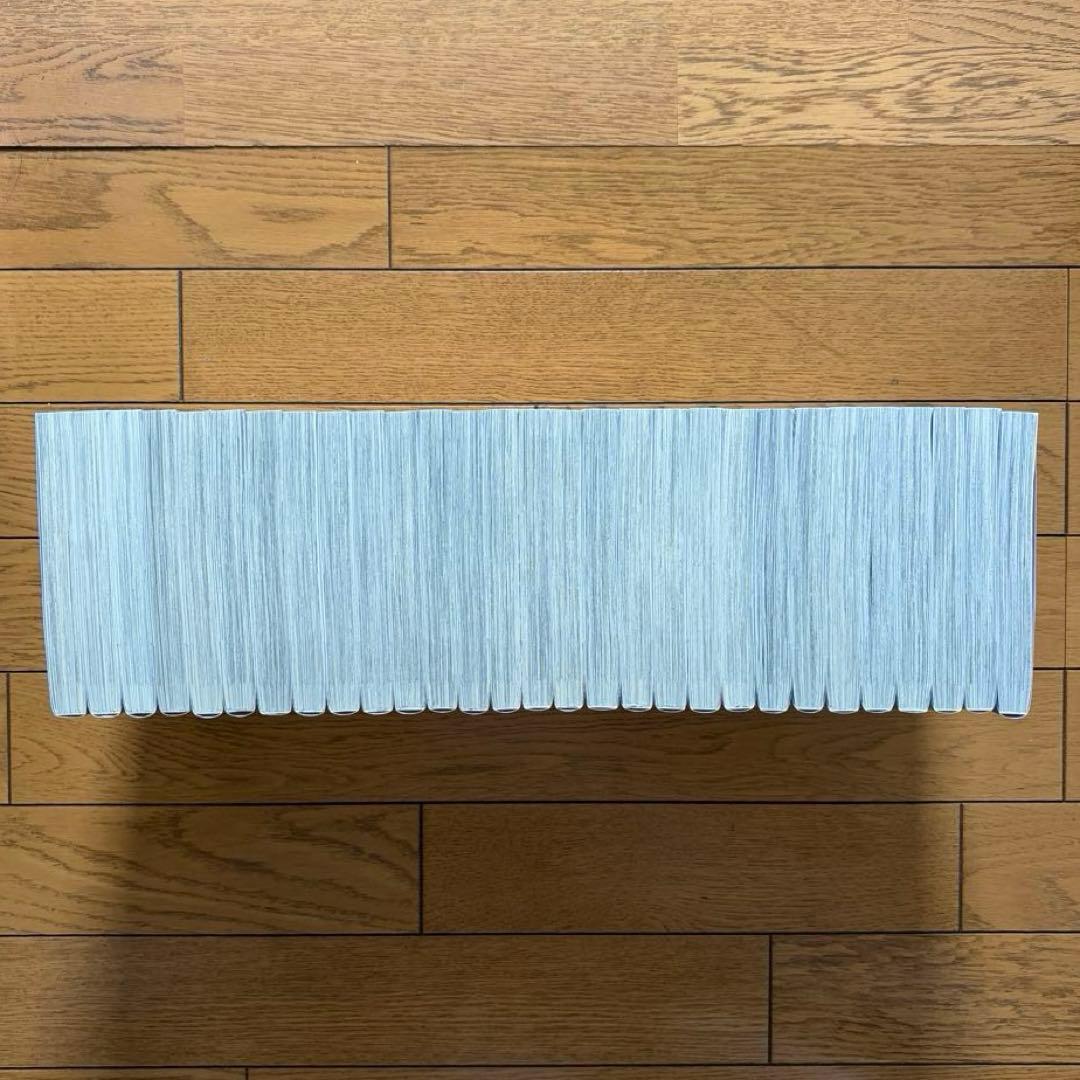 【全巻初版】 王のいばら17巻／王のいばら外伝12巻　合計29冊　完結