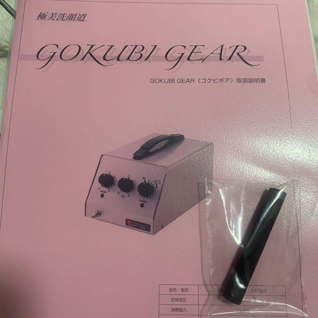 ラテスパ　ゴクビギア　極美ギア　極美洗顔　gokubi gear プラズマ