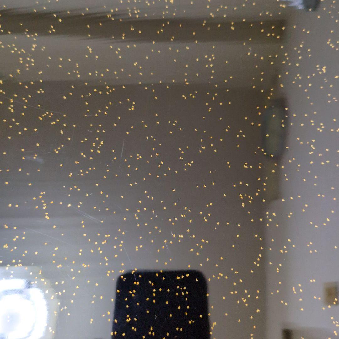 漆器 膳 金色装飾 正方形