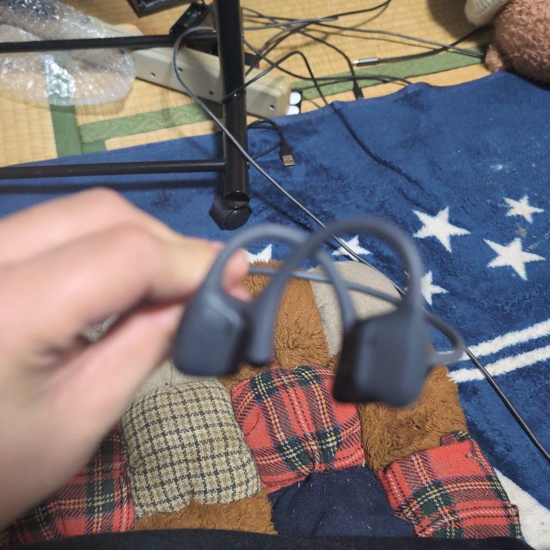 イヤホン Shokz openrun pro2