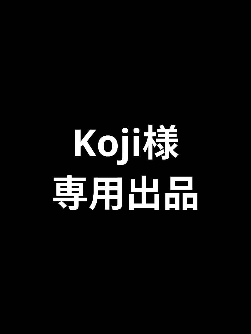 ba169　ダイソン　SV14　本体のみ　動作品　分解洗浄済み