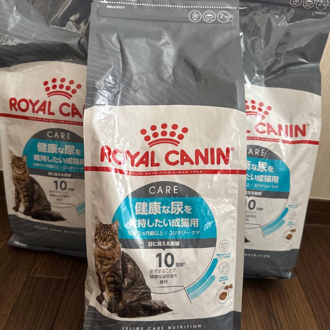 24時間以内発送 ロイヤルカナン　ユリナリーケア 6KG