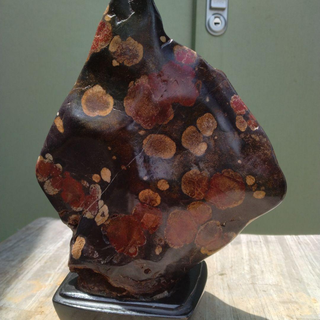 み*み様 牡丹石、菊化石、紅白梅花。