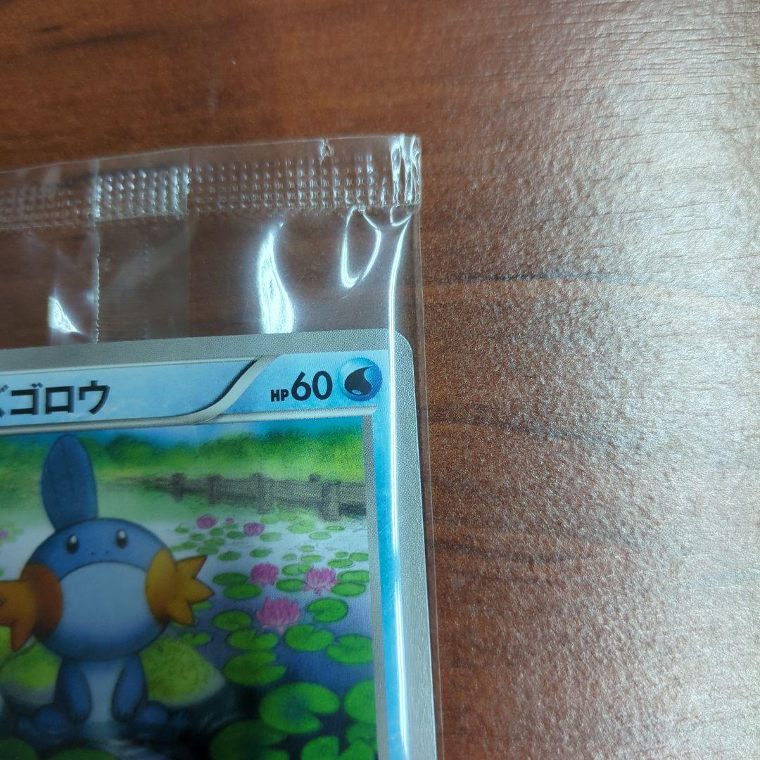 【未開封】ポケモンカード　ミズゴロウ　プロモ 109/XY-P