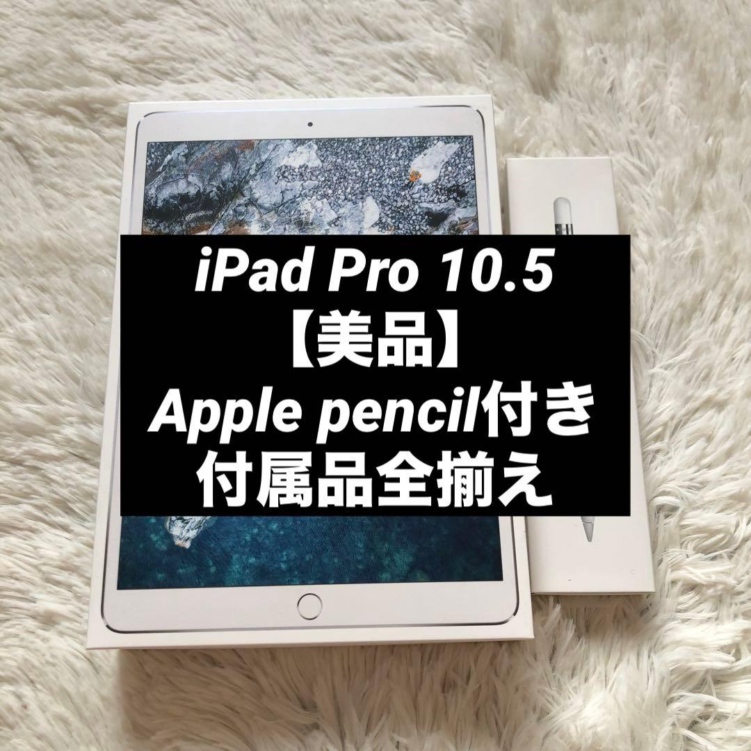 【年始割】iPad Pro 10.5 512GB 付属品多数！ 【すぐ発送】