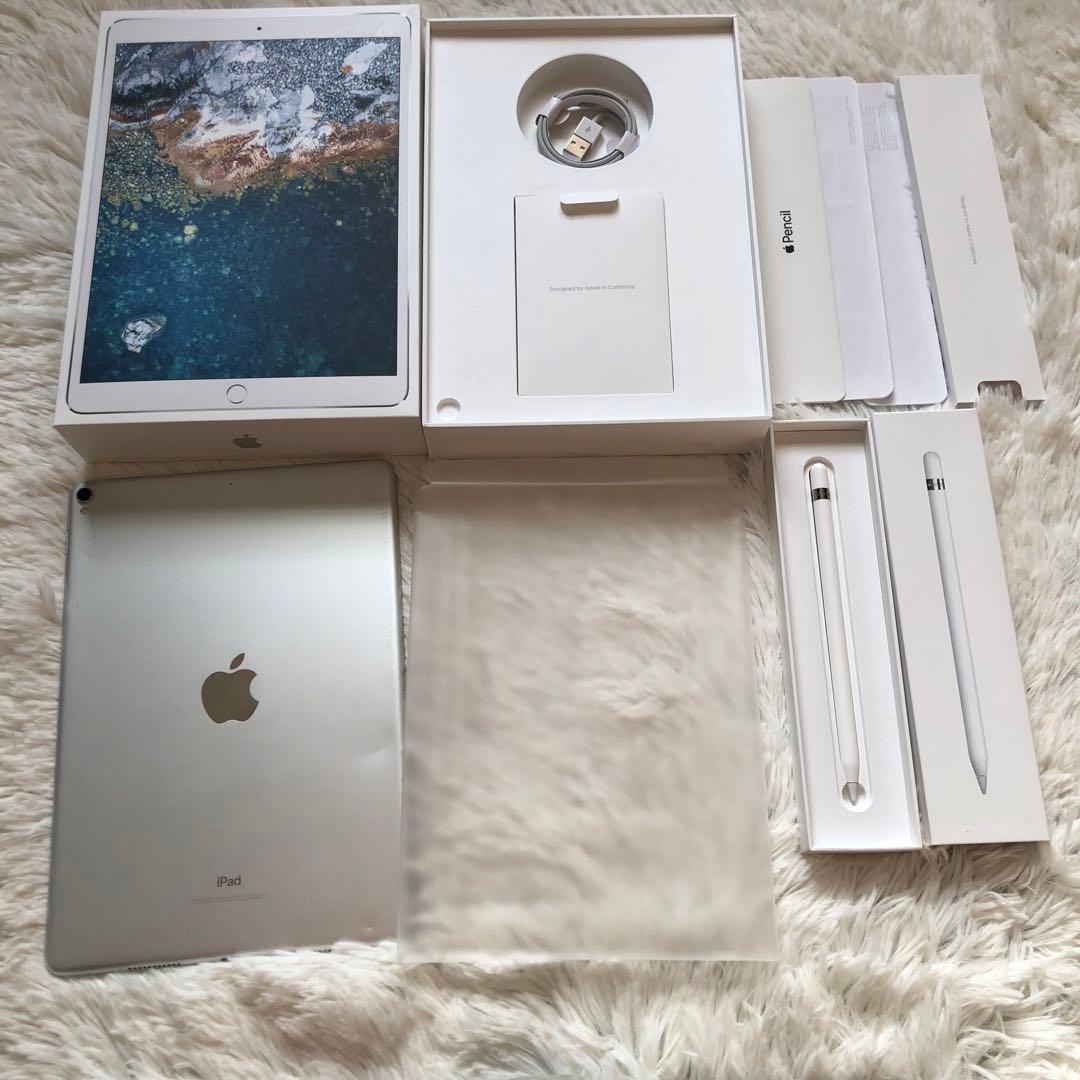 【年始割】iPad Pro 10.5 512GB 付属品多数！ 【すぐ発送】