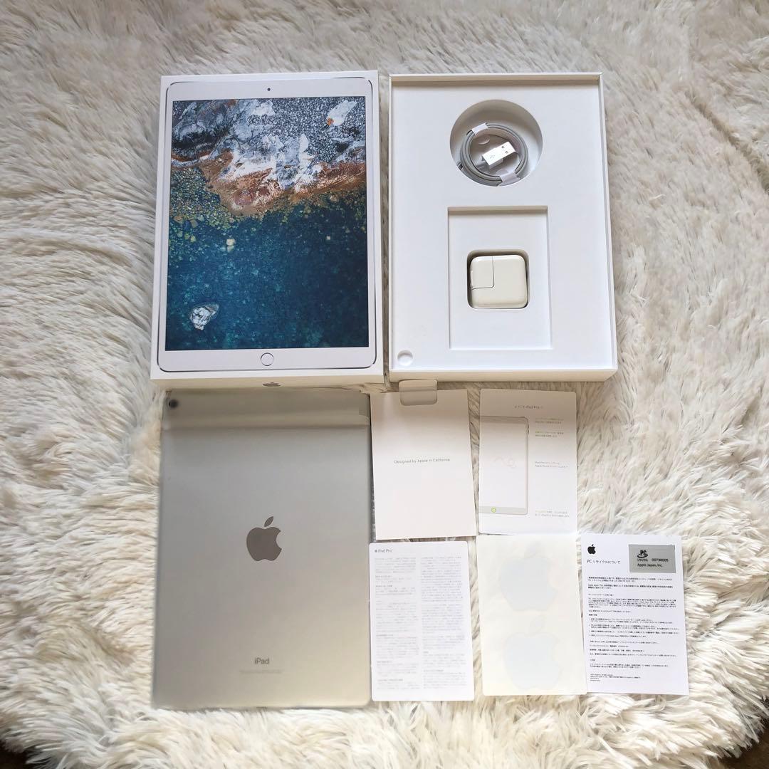【年始割】iPad Pro 10.5 512GB 付属品多数！ 【すぐ発送】