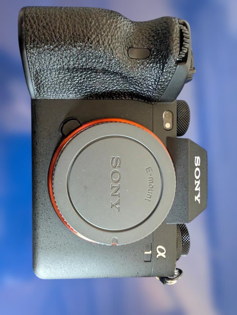 ソニー SONY α1 ILCE-1 ショット数2966回