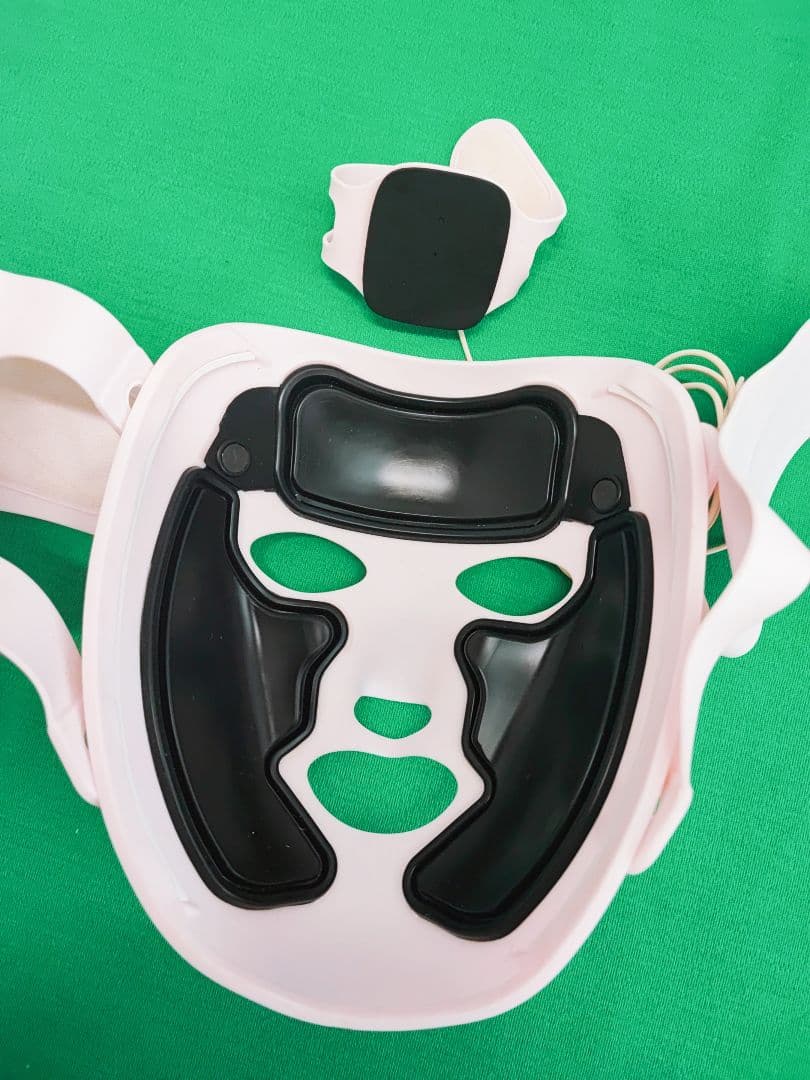 スキンコンディショナー モイスティーヌ Ⅳ 美顔器 ホーマーイオン