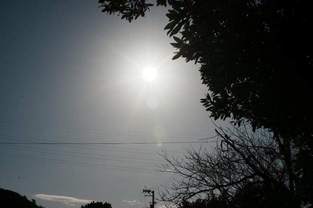 【整備＆テスト済】Nikon Ai-s Nikkor 50mm f1.8 346