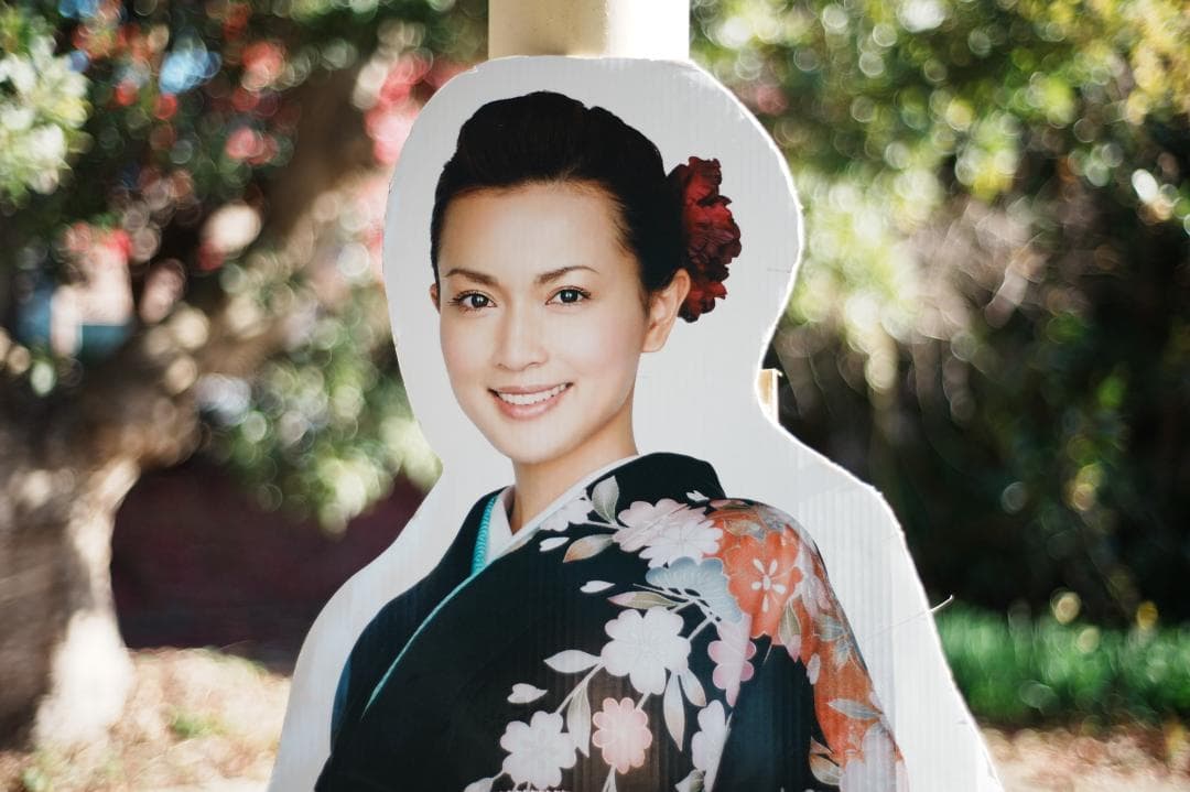 【整備＆テスト済】Nikon Ai-s Nikkor 50mm f1.8 346