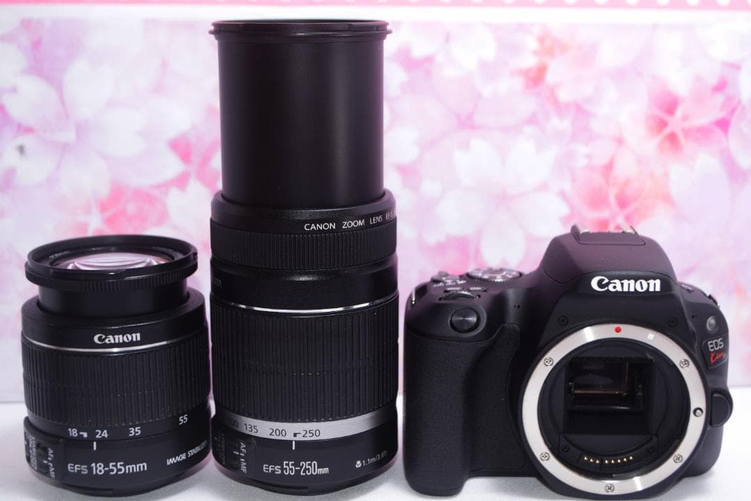 極美品★Canon EOS kiss X9★高速AF●Wi-Fi内蔵●