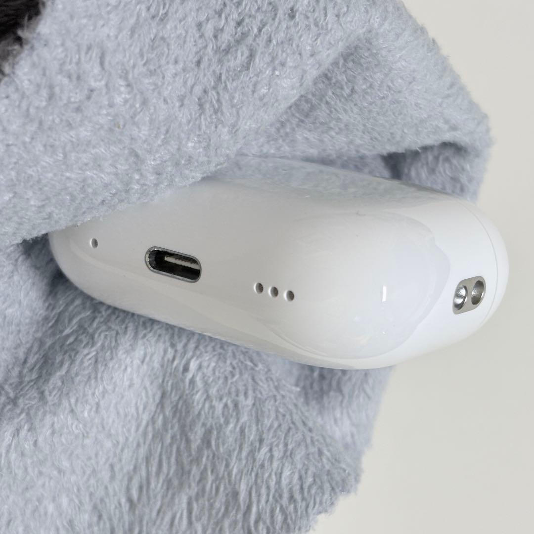 【PANTON448C】AirPods Pro2・全備品+オマケ付き