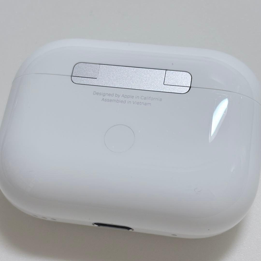 【PANTON448C】AirPods Pro2・全備品+オマケ付き