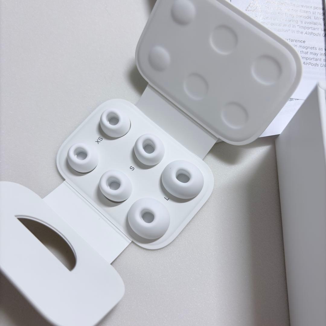 【PANTON448C】AirPods Pro2・全備品+オマケ付き