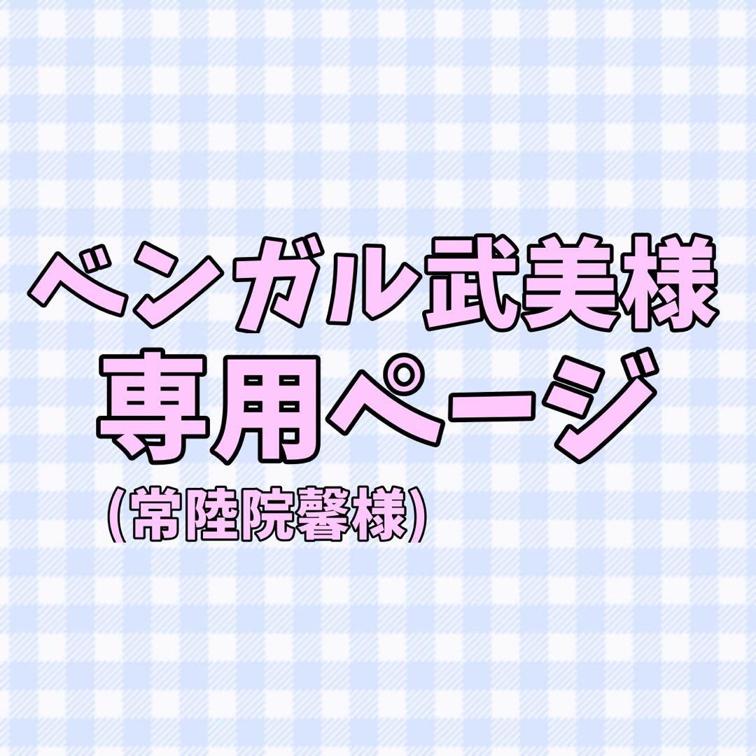 ベンガル武美ページ