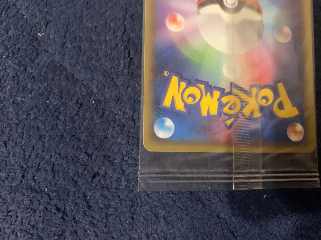 ポケパーク グラードン プロモ 042/PCG-P ポケモンカード 未開封