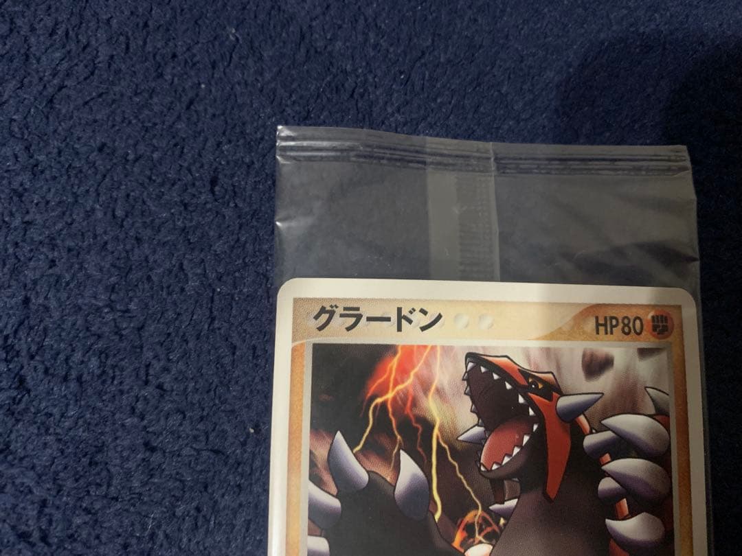 ポケパーク グラードン プロモ 042/PCG-P ポケモンカード 未開封
