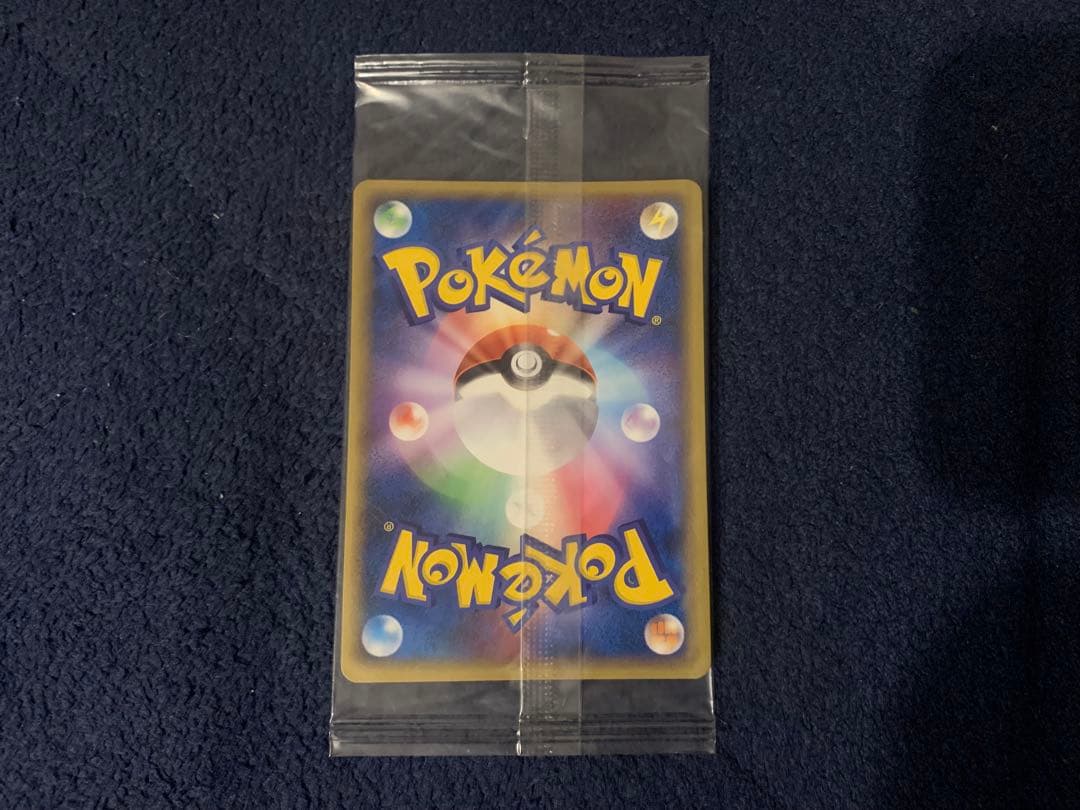 ポケパーク グラードン プロモ 042/PCG-P ポケモンカード 未開封