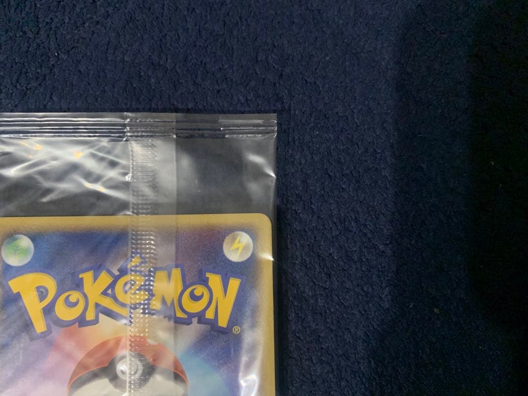 ポケパーク グラードン プロモ 042/PCG-P ポケモンカード 未開封