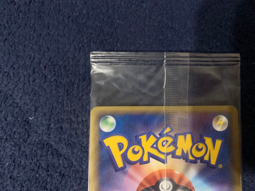 ポケパーク グラードン プロモ 042/PCG-P ポケモンカード 未開封