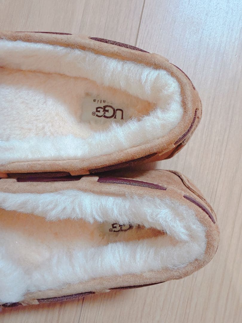 新品未使用　UGG/アグ* モカシン ダコタ 24