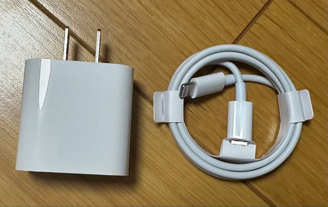 【早いもの特価】Apple iPad 第6世代 シルバー 充電器・ケーブル付