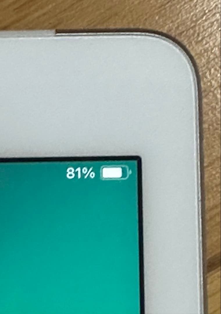 【早いもの特価】Apple iPad 第6世代 シルバー 充電器・ケーブル付