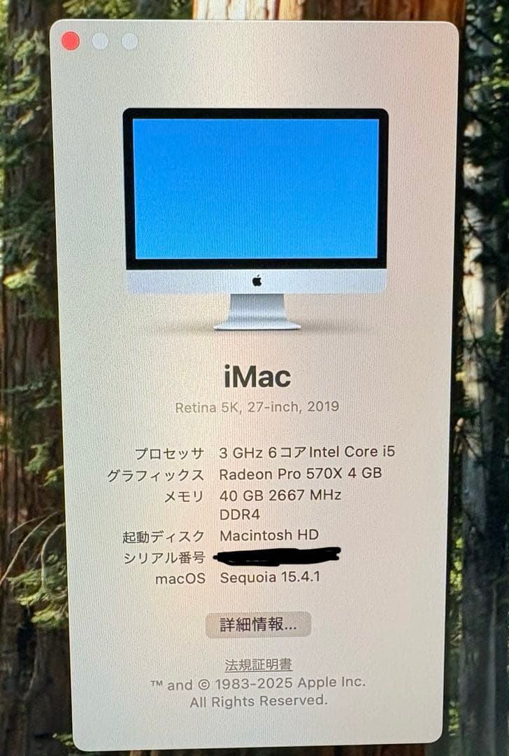 g*s様 Apple iMac (Retina 5K, 27-inch, 201