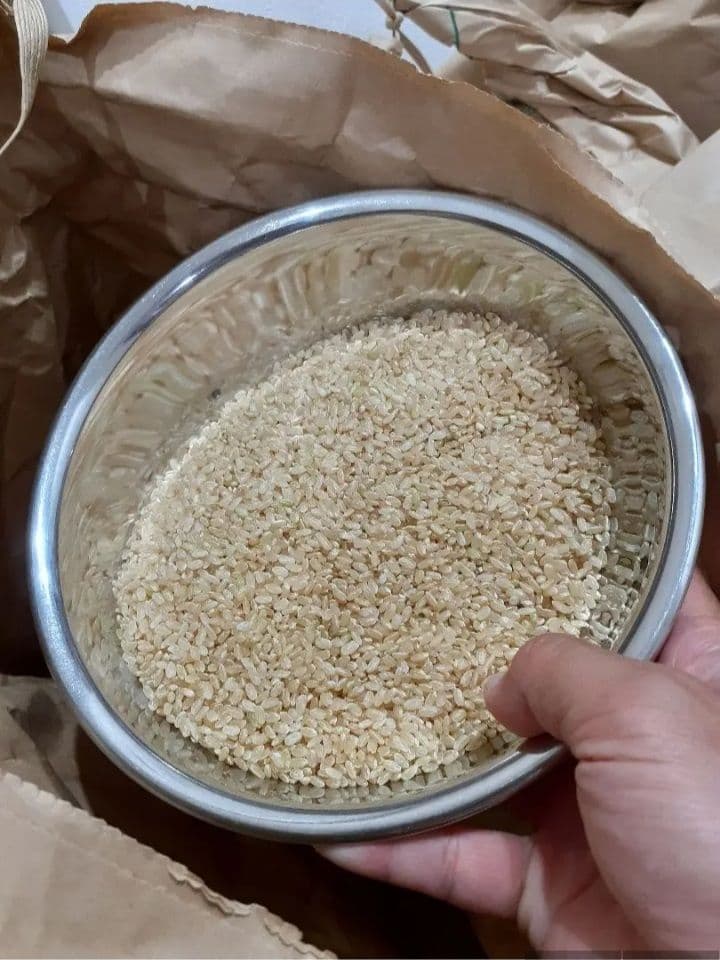 安心安全な減農薬栽培！　 令和7年産　ひとめぼれ　 玄米10キロ送料込み