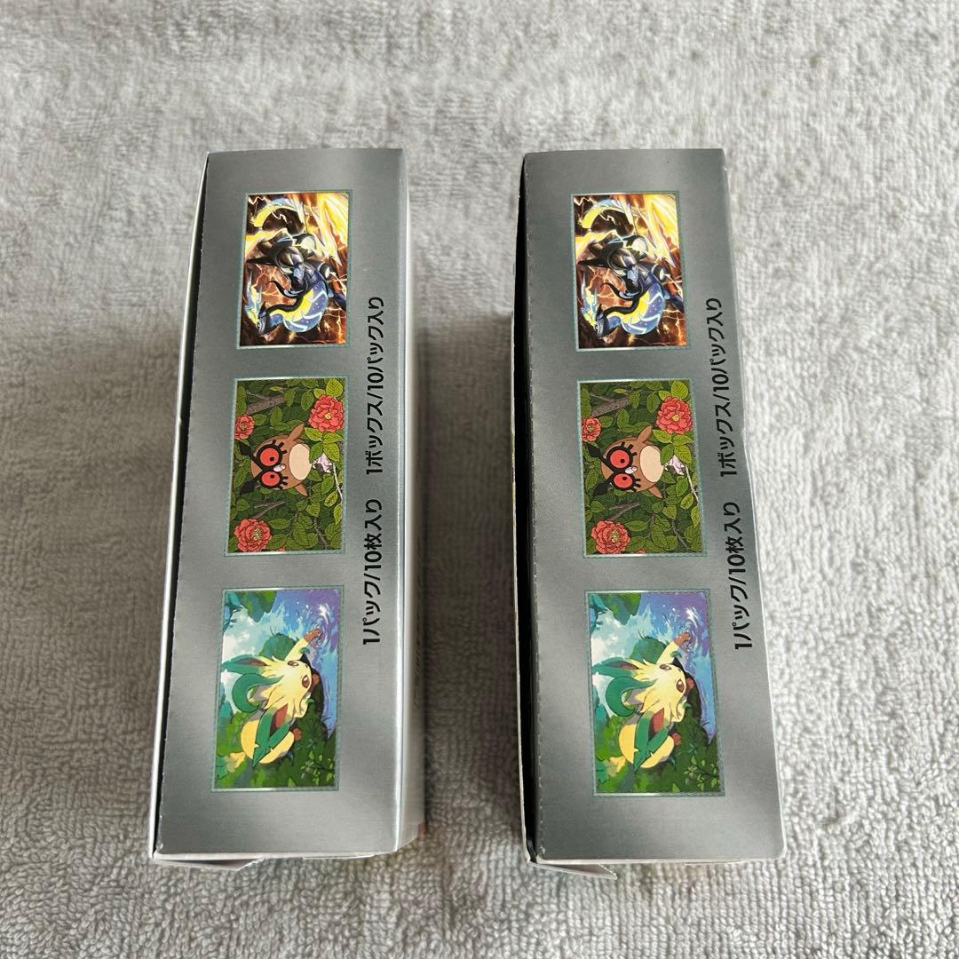 テラスタルフェスex 2box シュリンク ぺりぺりなし 新品未開封 ヨドバシ産