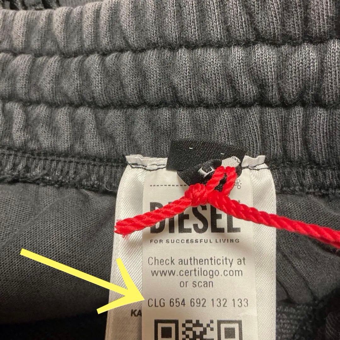 DIESEL ディーゼル P-RAWMARSHY A14015 新品未使用