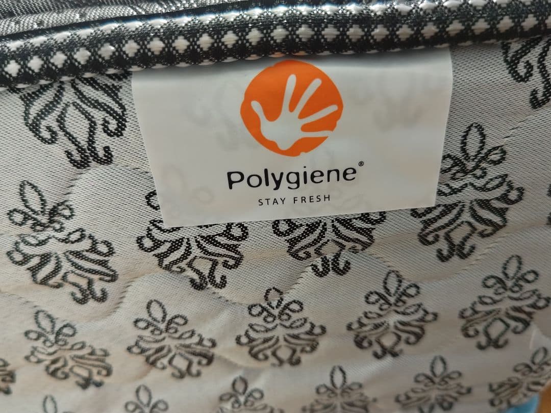 シーリー ラグラスⅡ ダブルベッド　チタンコレクション