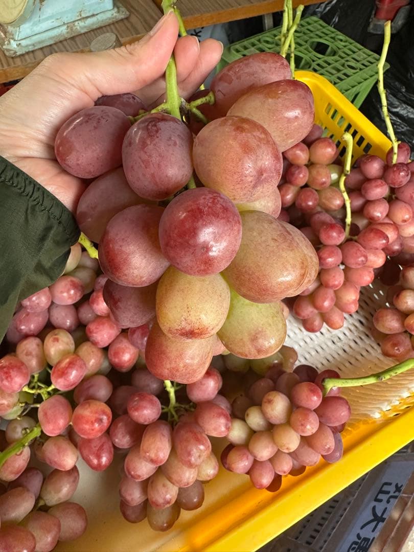 やや訳あり⭐︎クイーンルージュ　2キロ