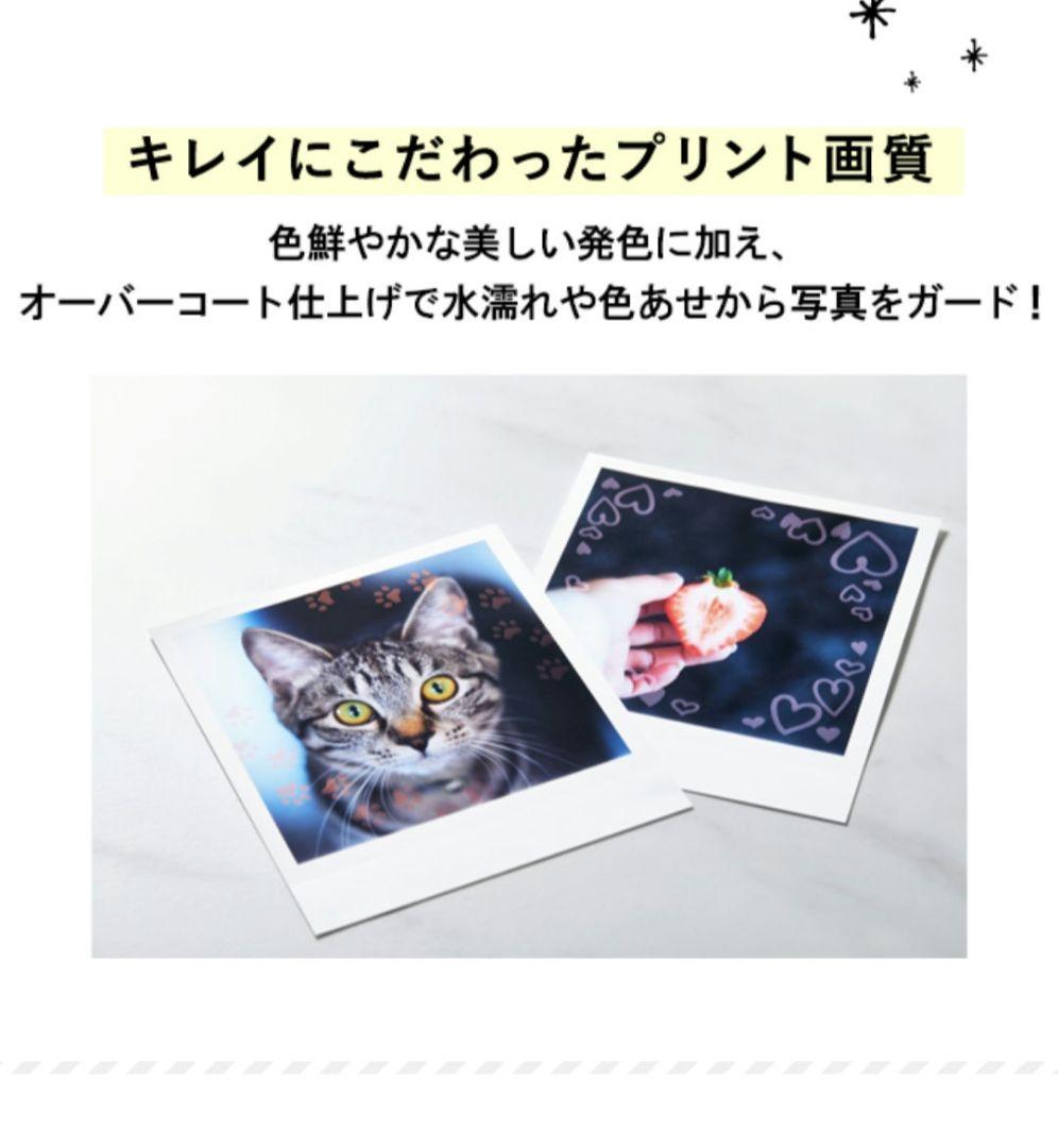 『ミント』SELPHY SQUARE QX10 ラベル2つ