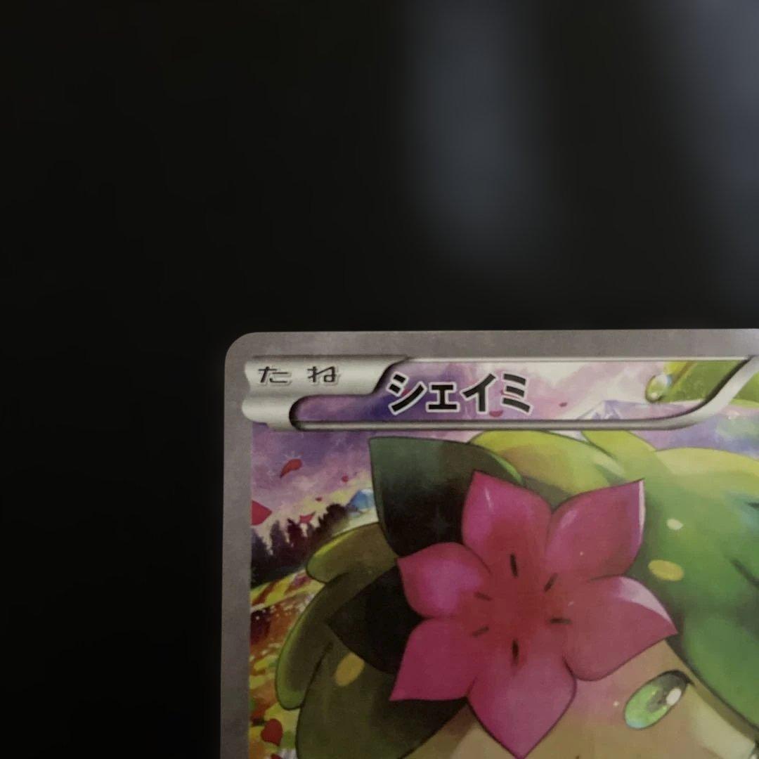 シェイミ CP5 伝説ドリームキラコレクション