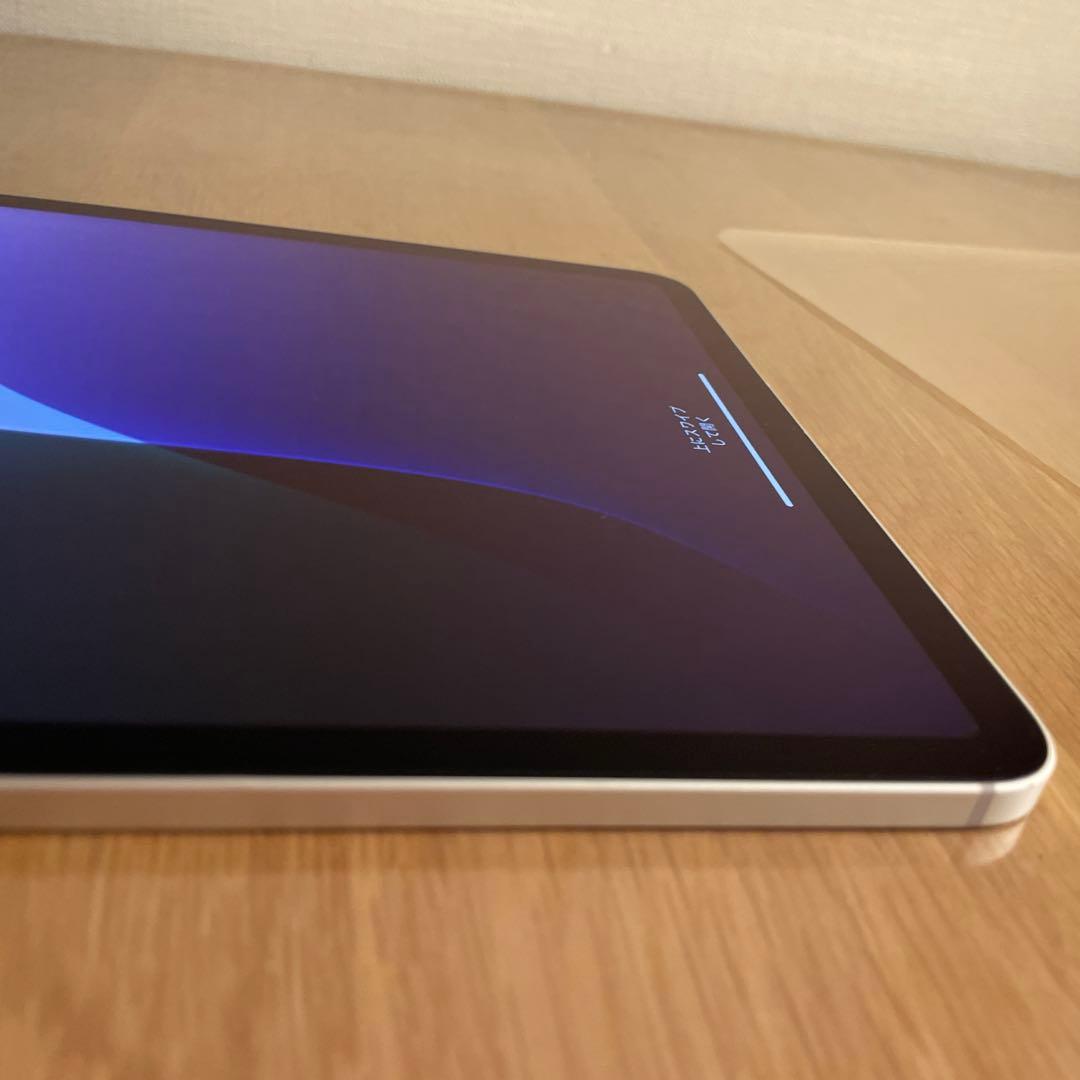 訳あり iPad Pro 11インチ 第1世代 Cellular 64GB