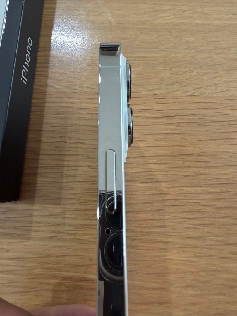 Apple iPhone 13Pro シルバー 本体 256GB ケース付き