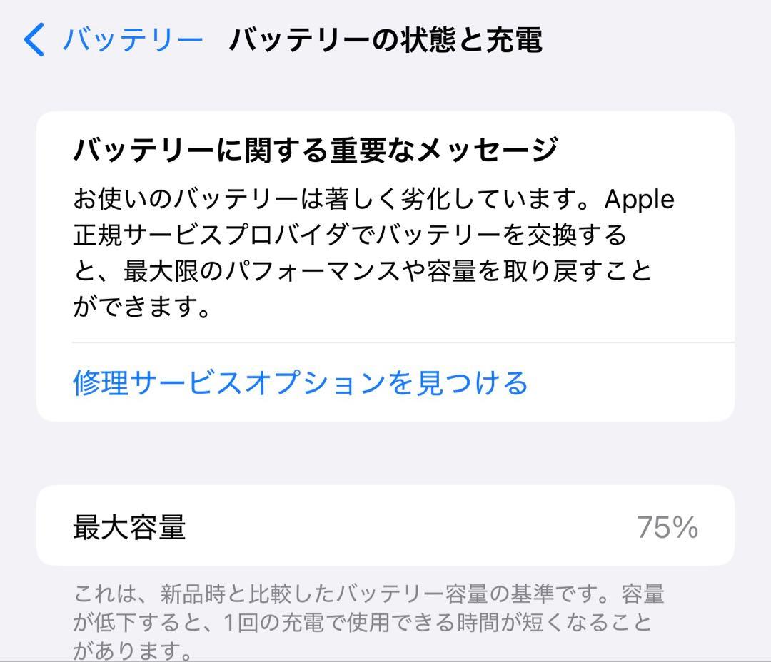 スマートフォン本体 sakuraiPhone12 Pro Max