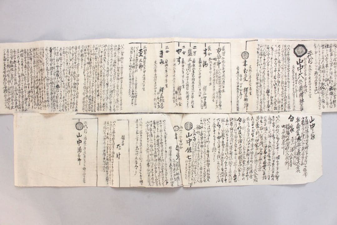 No4446 古文書　山中家　家系図　抱き柊紋　手書き　紙本　巻子装　送料無料
