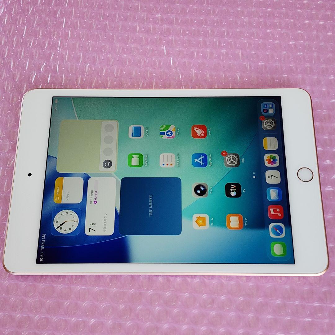 美品　iPad mini 第5世代　バッテリー良好　256GB　WiFiモデル