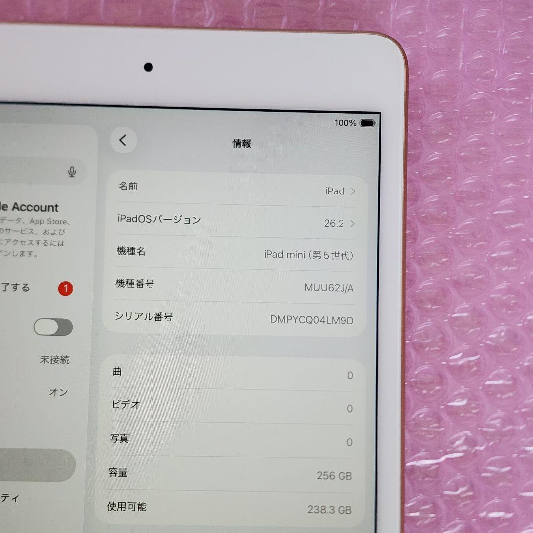 美品　iPad mini 第5世代　バッテリー良好　256GB　WiFiモデル