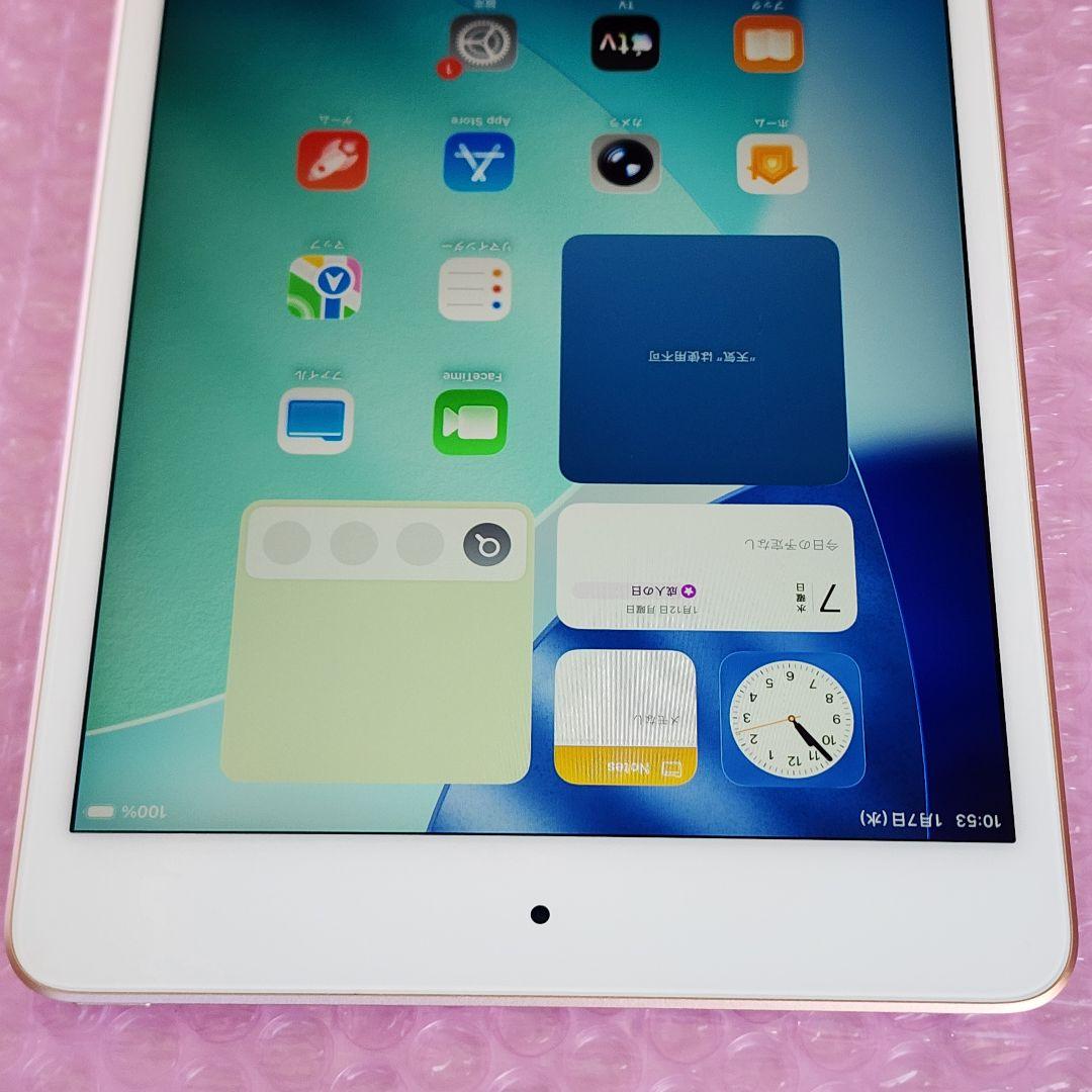 美品　iPad mini 第5世代　バッテリー良好　256GB　WiFiモデル