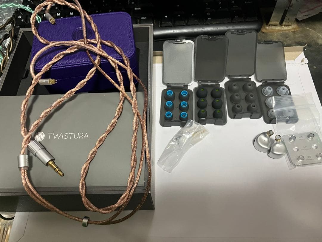 TWISTURA WOODNOTE 有線 イヤホン