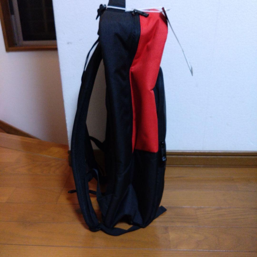 スキー NORDICA PRO BACKPACA