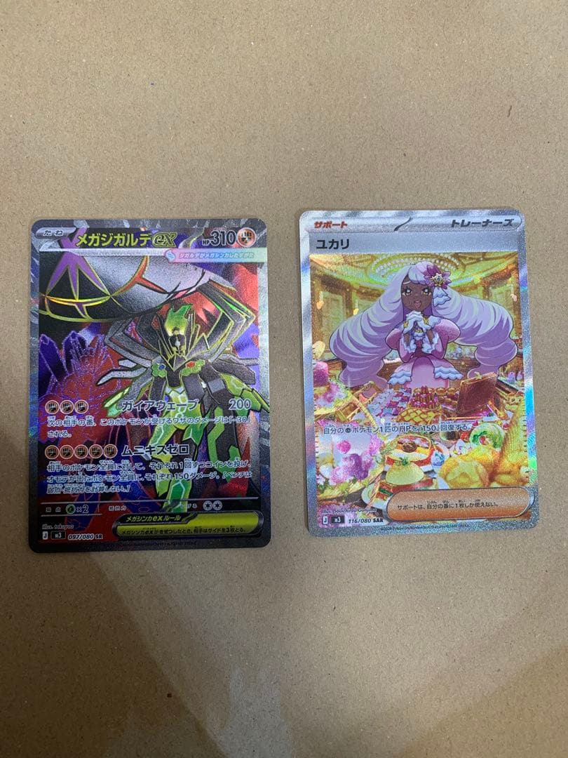 ネガガルデアEXとユカリ ホロカードセット