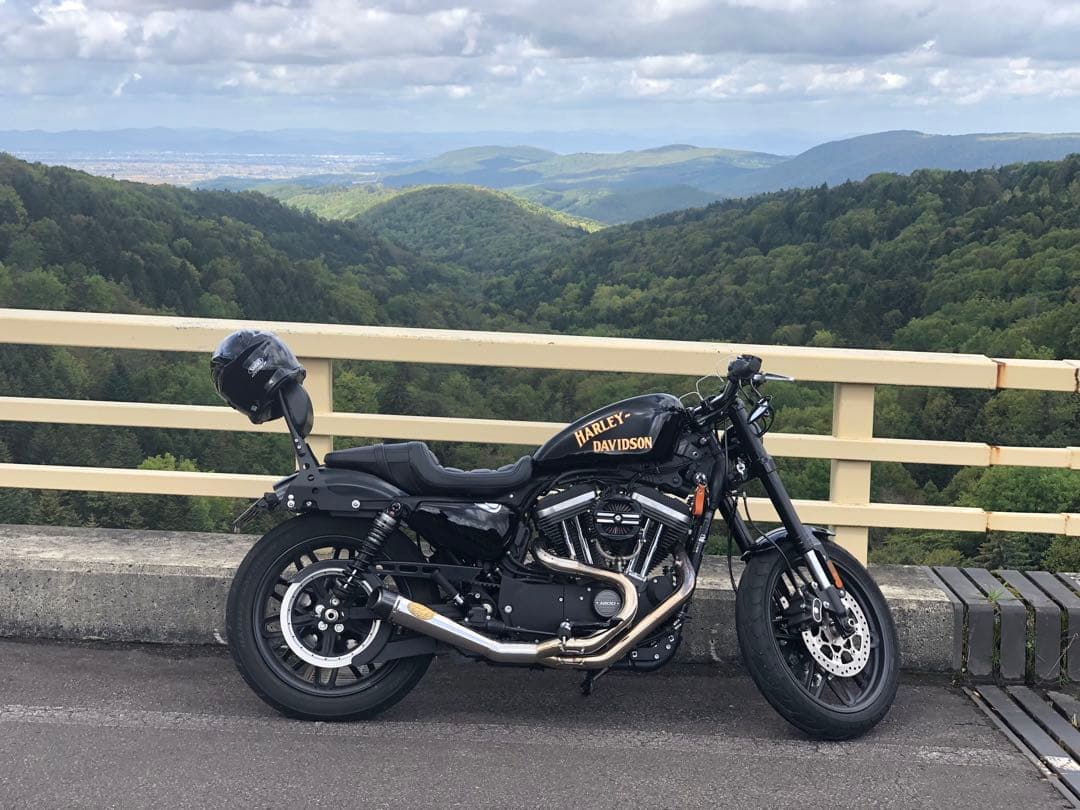 ピ*ノ様 XL1200X XL1200CXスポーツスター　ゴールドリーフ　カスタ